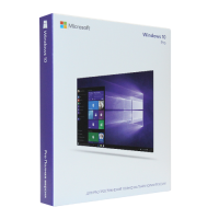Microsoft Windows 10 Professional