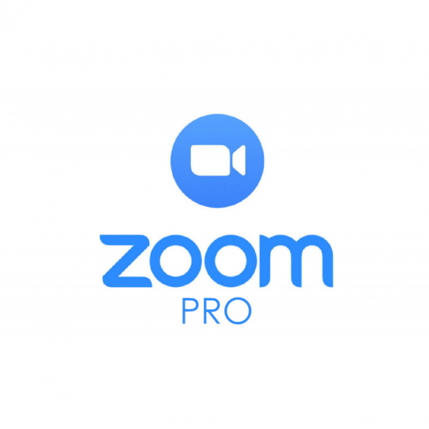 Zoom Профессиональный 1 месяц (продление действующей подписки)