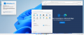 Microsoft Windows 11 Professional