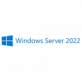 Microsoft Windows Server CAL 2022 Russian 1pk DSP OEI 5 Clt User CAL 