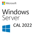 Microsoft Windows Server CAL 2022 Russian 1pk ESD 5 Clt Device CAL